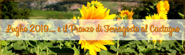 ferragosto luglio 2019
